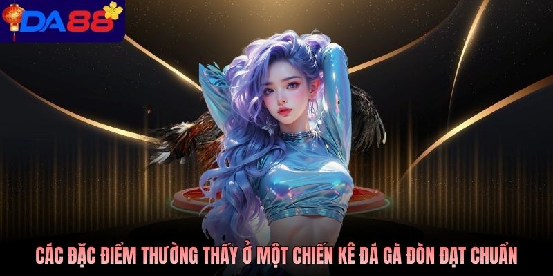 Các đặc điểm thường thấy ở một chiến kê đá gà đòn đạt chuẩn