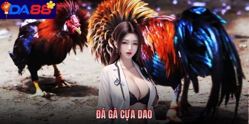 Đá Gà Cựa Dao - Kinh Nghiệm Quan Sát Chiến Kê Hiệu Quả