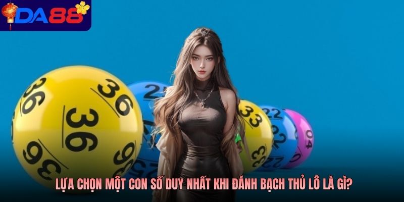 Lựa chọn một con số duy nhất khi đánh bạch thủ lô là gì